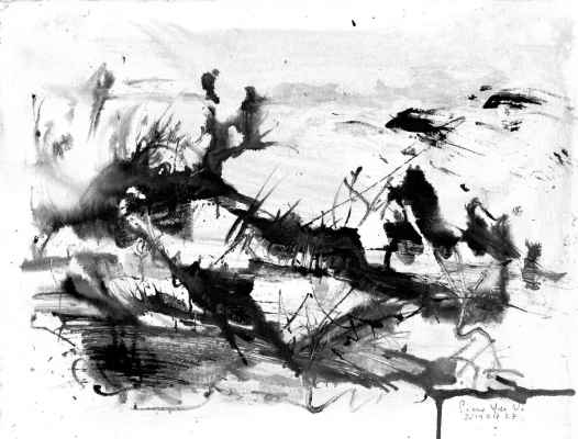 pyvart 20190727 30x40 grandespaces38 inks papmh4 web