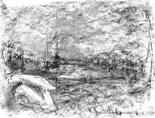 pyvart 20190723 24x32 grandespaces03 carbon dahpch4 web