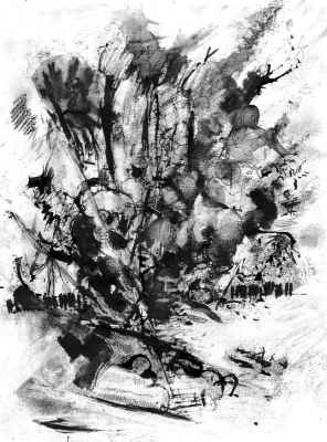 pyvart 20190723 32x24 grandespaces05 carbon davpch4 web