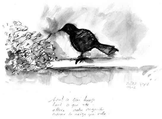 pyv 20220402 21x30 toutcequibouge inkaquapen dpcmh2