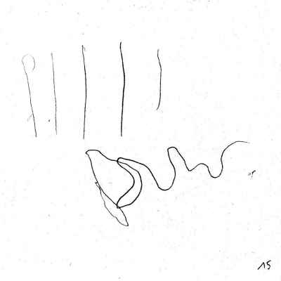 pyvart 20230407 20x20 pina 15 xs