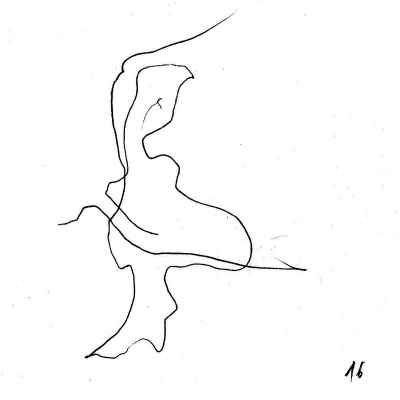 pyvart 20230407 20x20 pina 16 xs