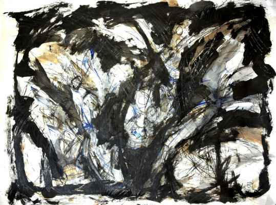 pyvart 20240527 80x120 fleurs inkscont pavbh7 n2 xs