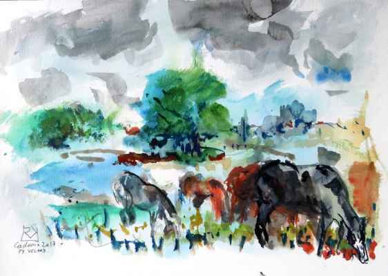 pyvart 20170707 chevauxcadouin 340x30 aqua fuajcadouin