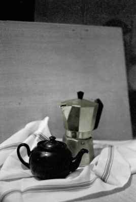 zanzibarthiere copie